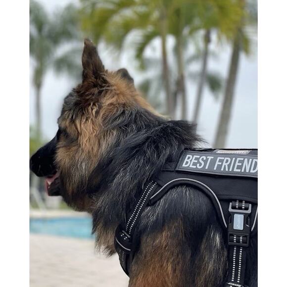 AUROTH Tactical Dog Harness L No-Pull Adjustable K9 Training Vest MOLLE Black - Picture 7 of 7
